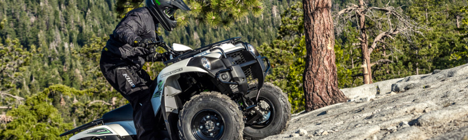 2020 brute Force 300 for sale in Wildhorse Powersports, Bend, Oregon